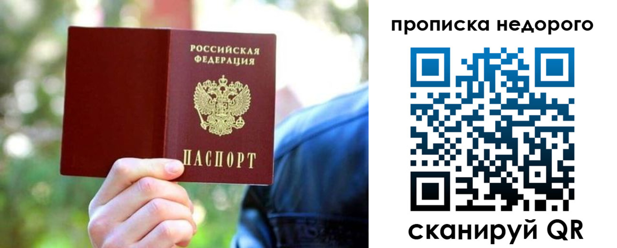 прописка в квартире в Курской области